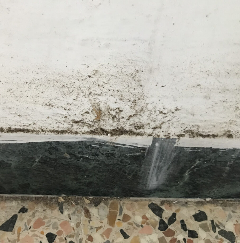 Infestazione cimici dei letti battiscopa