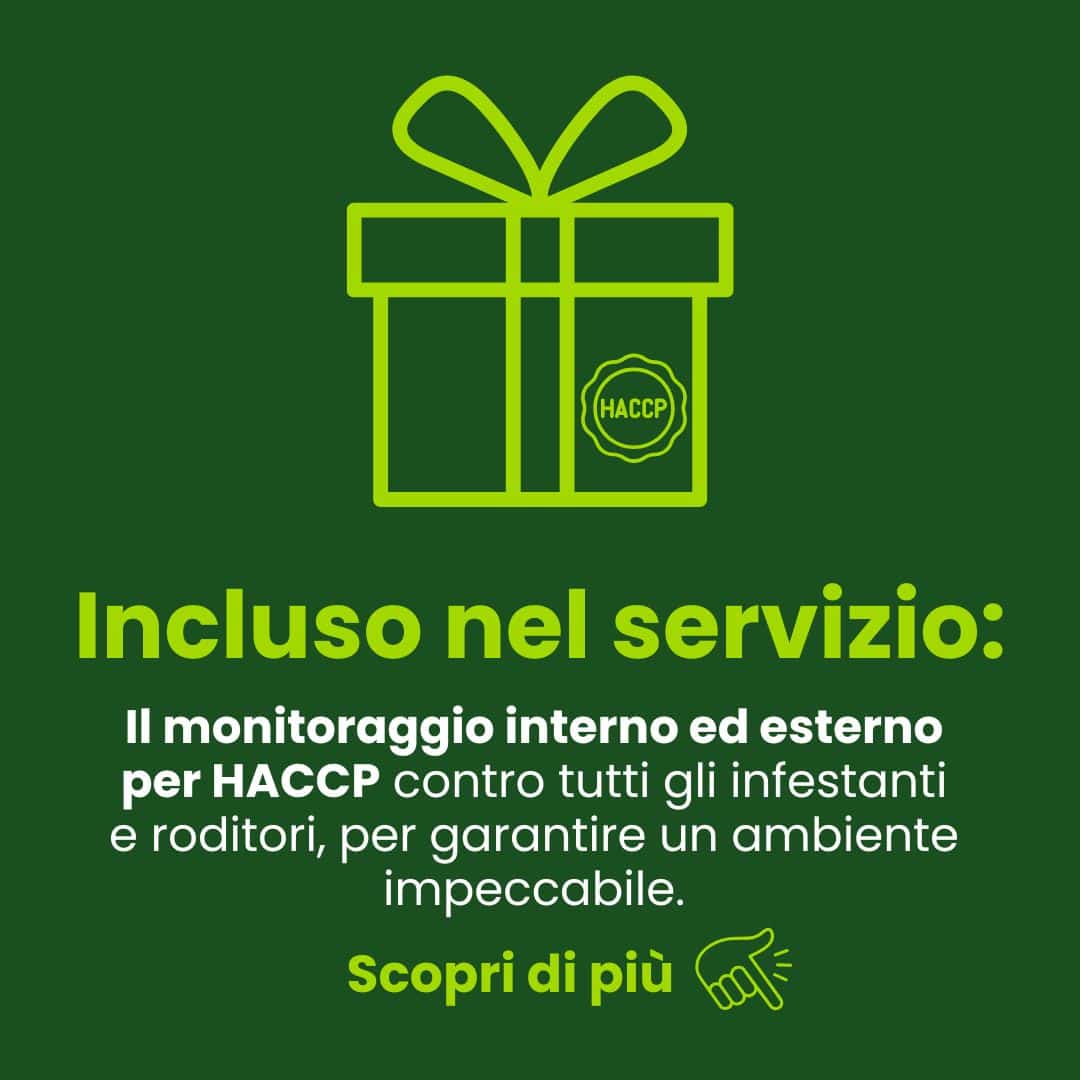 Incluso nel servizio: monitoraggio HACCP interno ed esterno