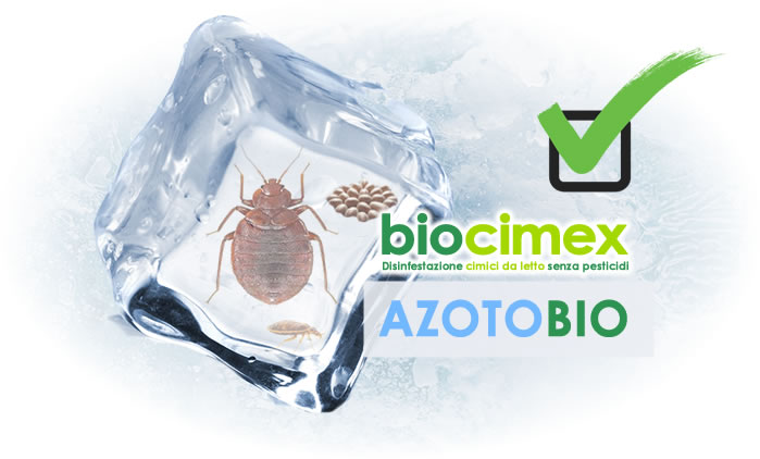 Disinfestazione cimici dei letti senza pesticidi naturale