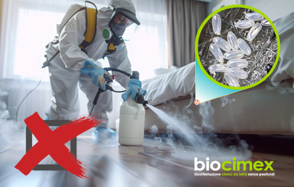 I pesticidi non eliminano le uova delle cimici dei letti