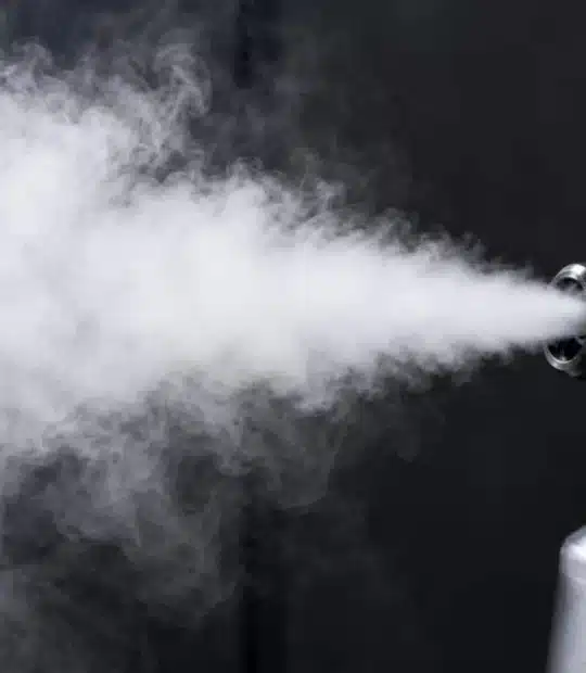 Erogazione di azoto liquido sulle zone infestate da cimici dei letti